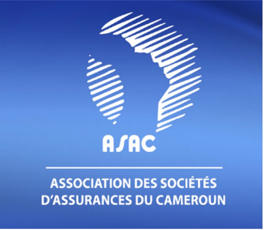 Insurance Awareness Campaign Cameroon